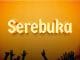 AUDIO Oscar Oscar – Serebuka Mp3 Download Side Makini Blog