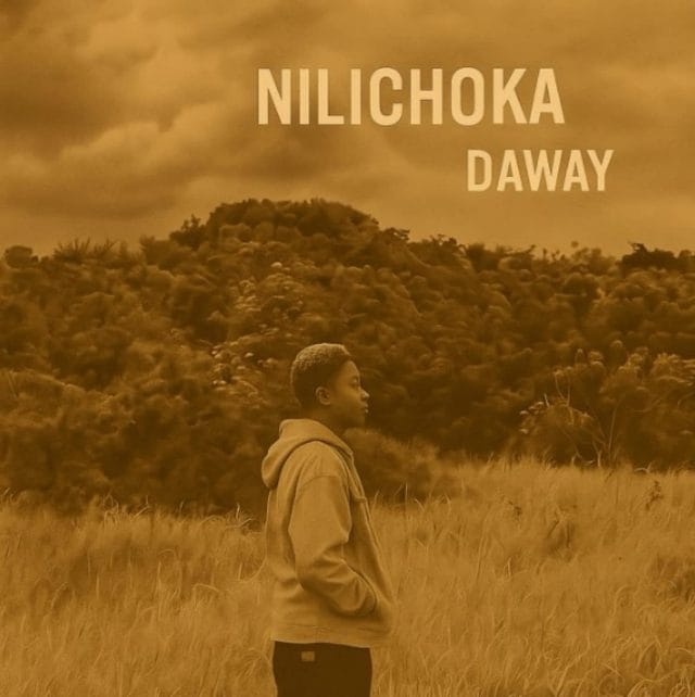 AUDIO Daway – Nilichoka Mp3 Download Side Makini Blog AUDIO Daway – Nilichoka Mp3 Download Side Makini Blog