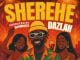 AUDIO Dazlah – Sherehe Mp3 Download Side Makini Blog