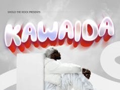 AUDIO Sholo Mwamba – Kawaida Download Mp3 Side Makini Blog