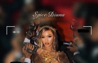 AUDIO Spice Diana – Award Mp3 Download Side Makini Blog