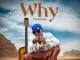 AUDIO Domokaya – Why Mp3 Download Side Makini Blog