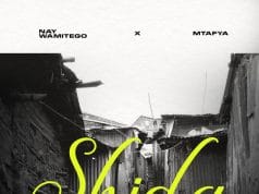 Nay Wa Mitego X Mtafya – Shida AUDIO Nay Wa Mitego X Mtafya – Shida Mp3 Download Side Makini Blog