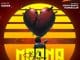 AUDIO Udede – Haina Mana Mp3 Download Side Makini Blog