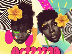 AUDIO Zuchu Ft Spice – Amanda Remix Mp3 Download Side Makini Blog