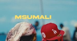 VIDEO: Diamond Platnumz – Msumari (Official Video) VIDEO Diamond Platnumz – Msumari (Official Video) Mp4 Download Side Makini Blog