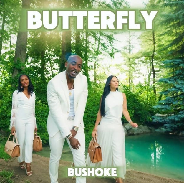 AUDIO Bushoke – Butterfly Mp3 Download Side Makini Blog AUDIO Bushoke – Butterfly Mp3 Download Side Makini Blog