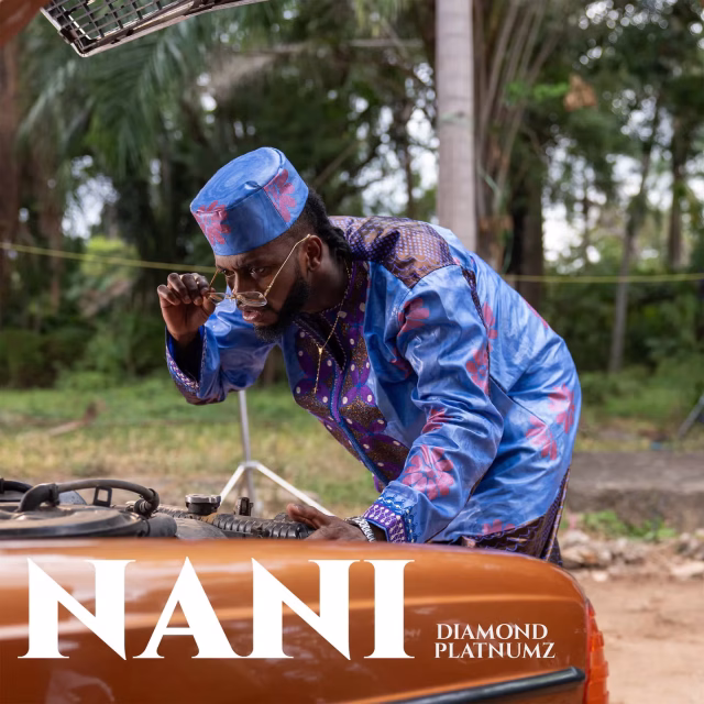 AUDIO Diamond Platnumz – Nani Mp3 Download Side Makini Blog AUDIO Diamond Platnumz – Nani Mp3 Download Side Makini Blog