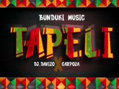 AUDIO Dj Davizo X Carpoza – Tapeli Mp3 Download Side Makini Blog