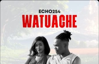Echo 254 – Watuache AUDIO Echo 254 – Watuache Mp3 Download Side Makini Blog