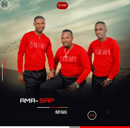 ALBUM AmaSAP – Impama Official Album Artwork Cover Mp3 Download Side Makini Blog