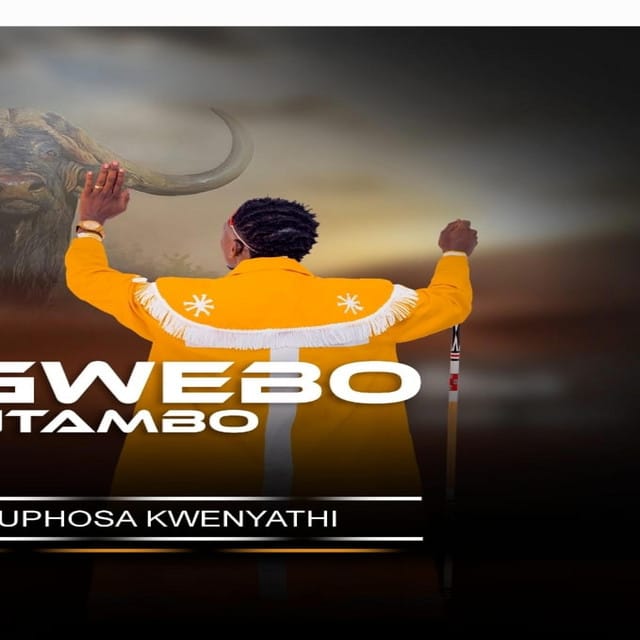 ALBUM Sgwebo Sentambo – Ukuphosa Kwenyathi Mp3 Download Side Makini Blog