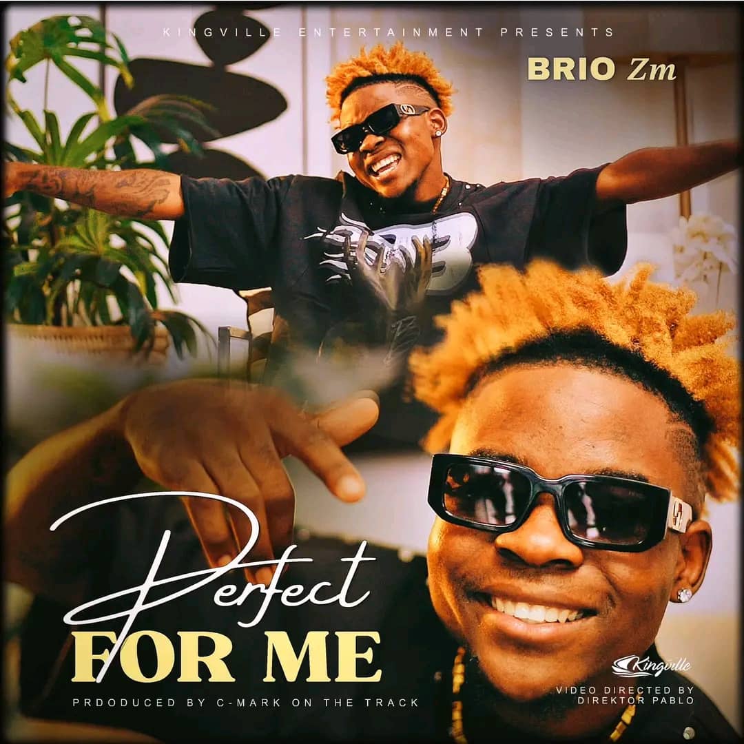 AUDIO Brio Zm – Perfect For Me Mp3 Download Side Makini Blog