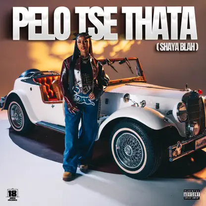 AUDIO Pabi Cooper Ft Mulest Vankay & DJ Maphorisa – Pelo Tse Thata Mp3 Download Side Makini Blog