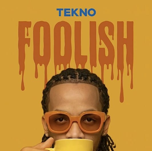 AUDIO Tekno – Foolish Mp3 Download Side Makini Blog