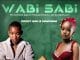EP Drizzy Sam and Nompumiie – Wabi Sabi Official EP Artwork Cover Mp3 Download Side Makini Blog