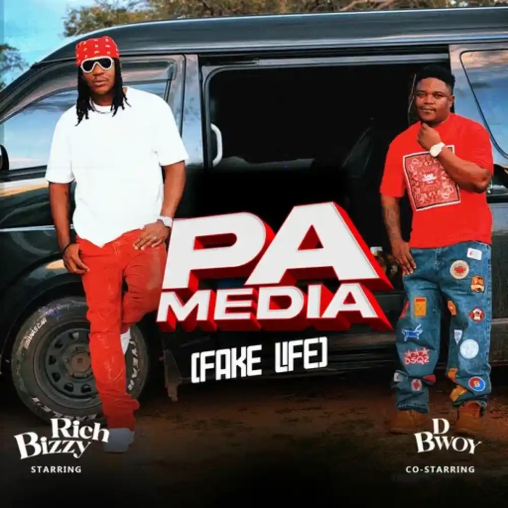 AUDIO Rich Bizzy Ft D Bwoy Telem – Pa Media (Fake Life) Mp3 Download Side Makini Blog