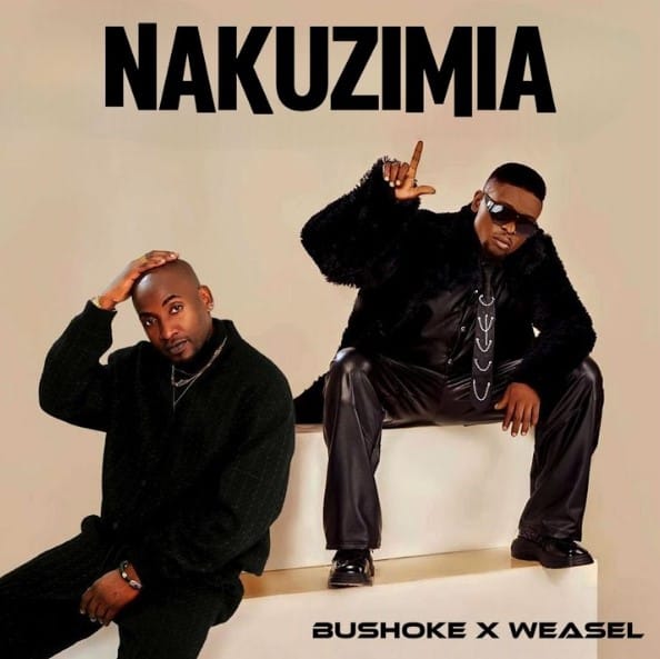 Bushoke Ft Weasel – Nakuzimia AUDIO Bushoke Ft Weasel – Nakuzimia Mp3 Download Side Makini Blog