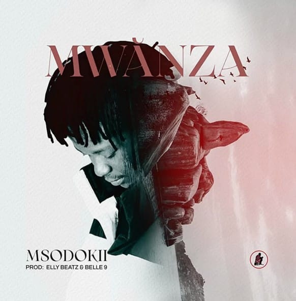 AUDIO Msodokii – Mwanza Mp3 Download Side Makini Blog