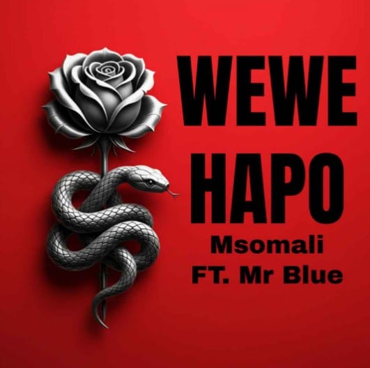 AUDIO Msomali Ft Mr Blue – Wewe Hapo Mp3 Download Side Makini Blog