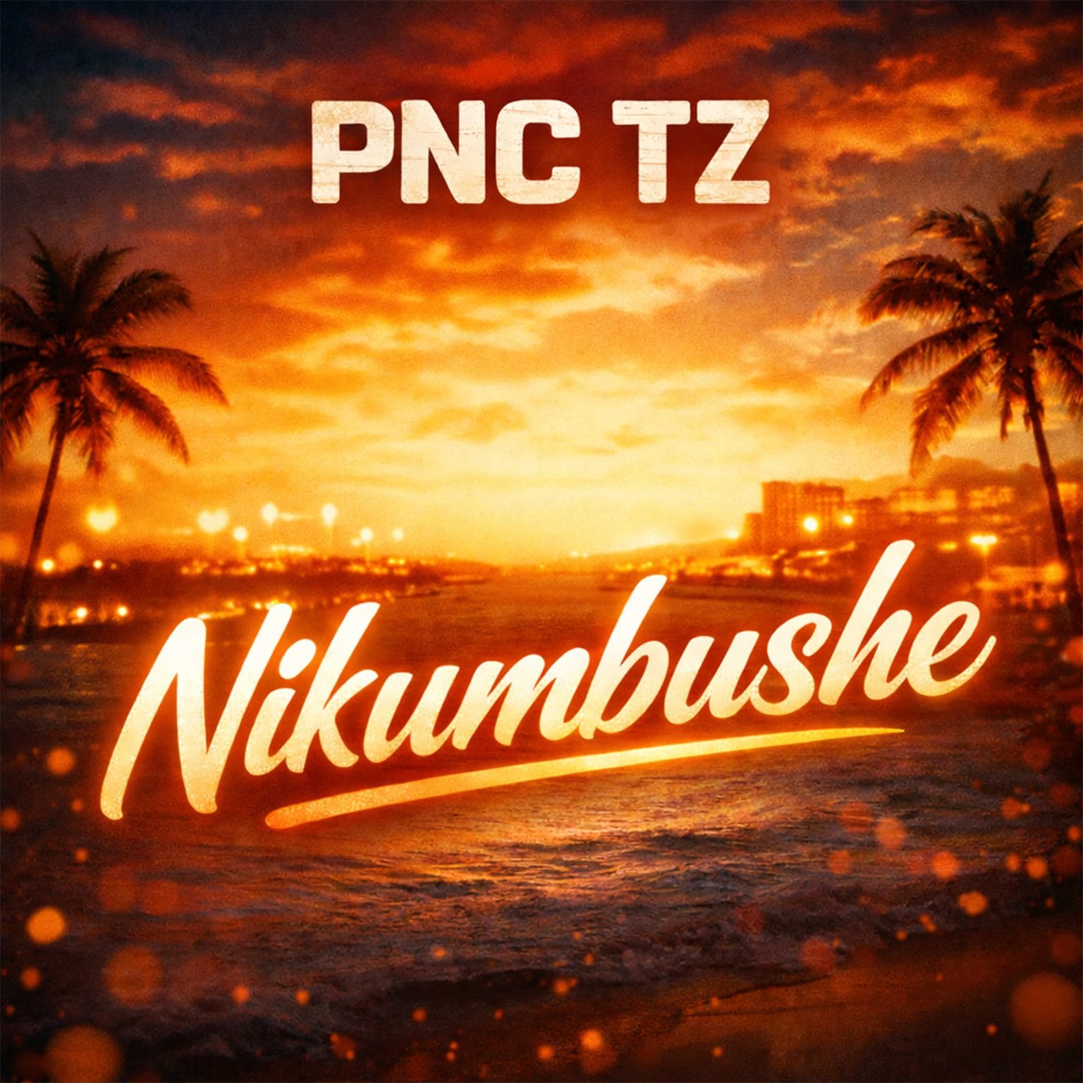 AUDIO PNC TZ – Nikumbushe Mp3 Download Side Makini Blog