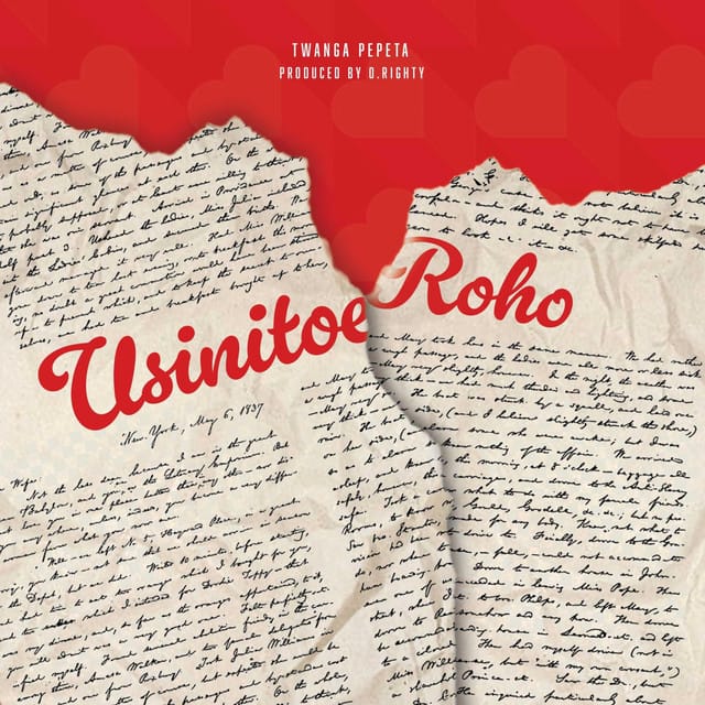 AUDIO Twanga Pepeta – Usinitoe Roho Mp3 Download Side Makini Blog