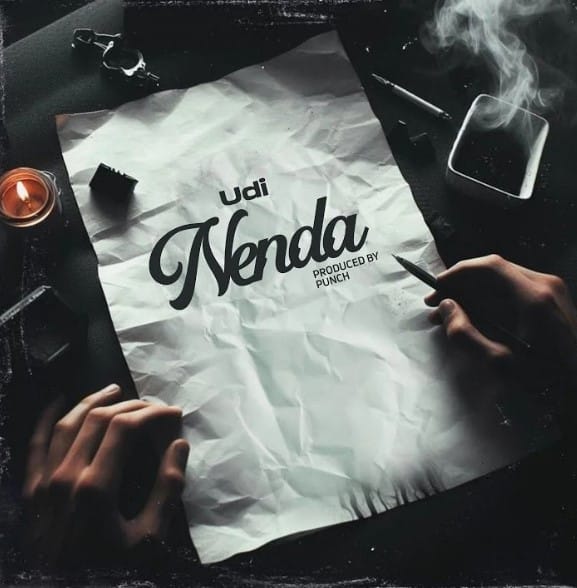 AUDIO Udi – Nenda Mp3 Download Side Makini Blog