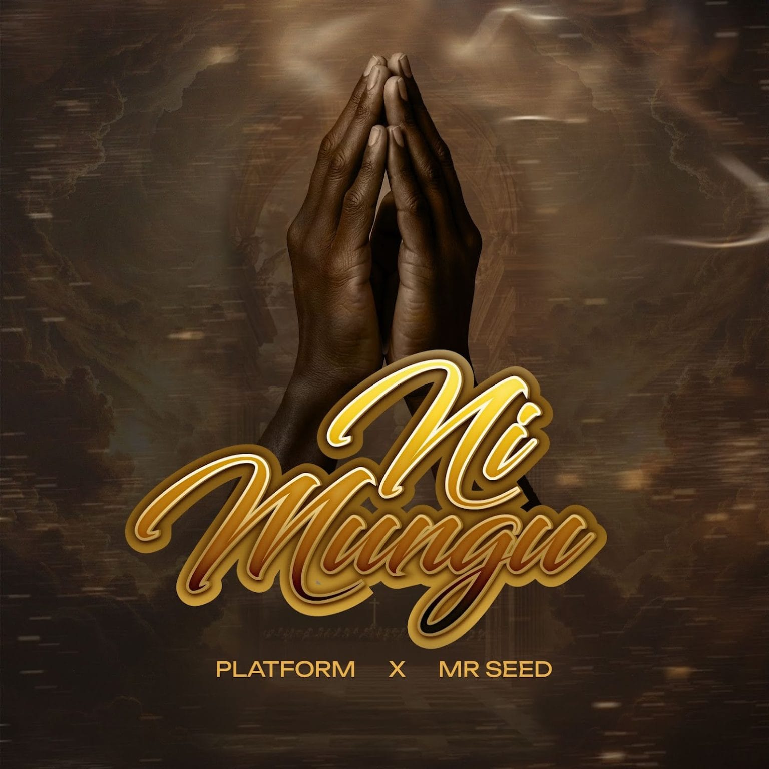 AUDIO Platform Ft. Mr Seed – Ni Mungu Mp3 Download Side Makini Blog