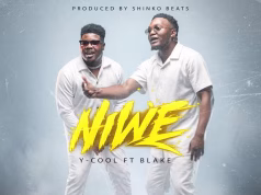 Y-Cool Ft Blake – Niwe