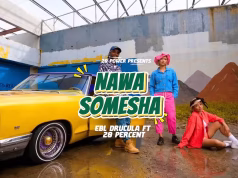 AUDIO 20 Percent X EBL Drucula – Nawasomesha Mp3 Download Side Makini Blog