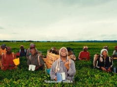 VIDEO: Obby Alpha – Jerusalem (Official Video)