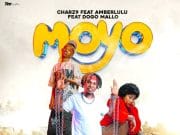 Charz9 Ft Amber Lulu & Dogo Mallo – Moyo