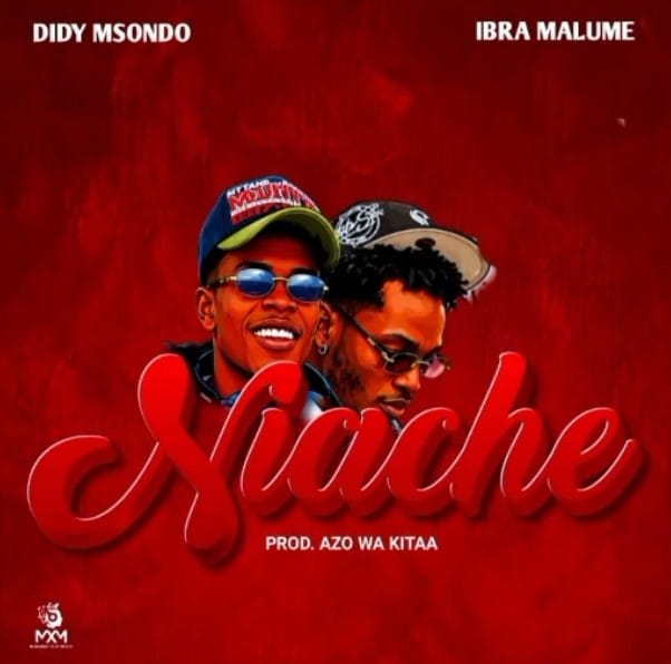 AUDIO Didy Msondo Ft Ibra Malume – Niache Mp3 Download Side Makini Blog