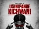 Raydiance TZ – Usinipande Kichwani