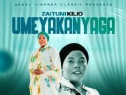 Sheby Kinanda (Zaituni Kilio) – Umeyakanyaga