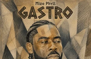 Mizo Phyll – Bonjolo